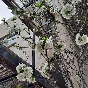 Apartamento El Cerezo